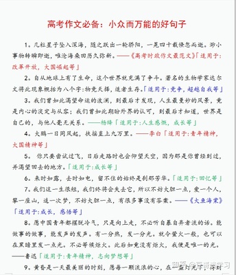 语文万能句子