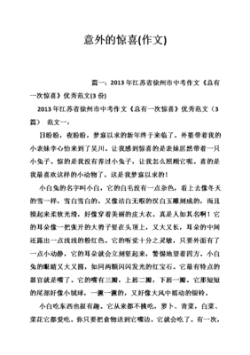 惊喜600字作文