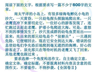 海龟作文