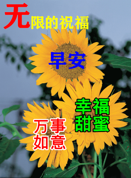 早上好的句子短语