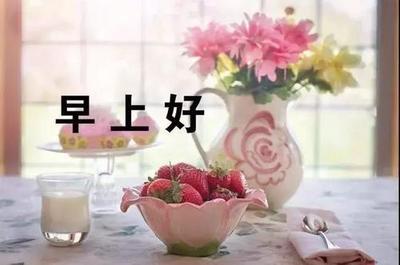 早上好的句子短语