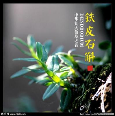形容能吃的句子