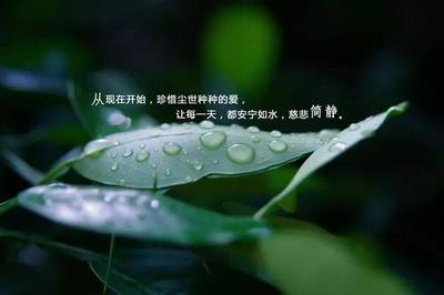 早上好的句子短语