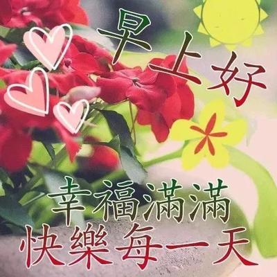 早上好的句子短语