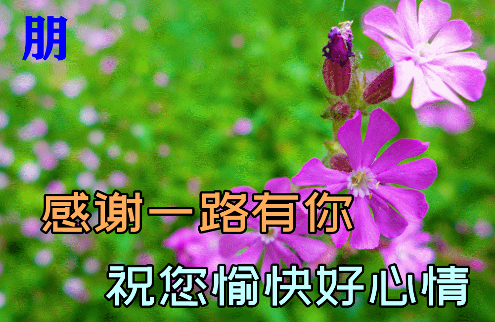 早上好的句子短语