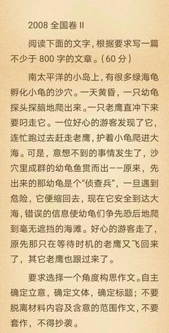 海龟作文