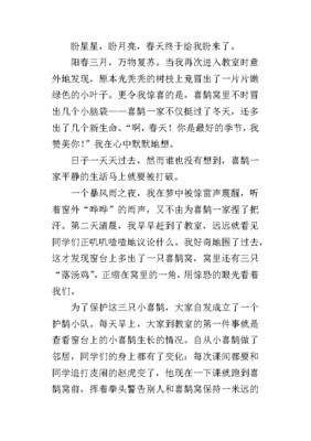 惊喜600字作文