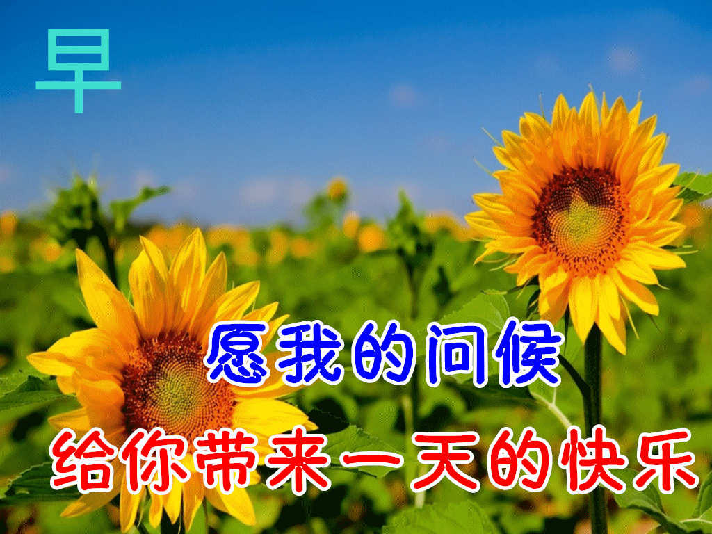 早上好的句子短语