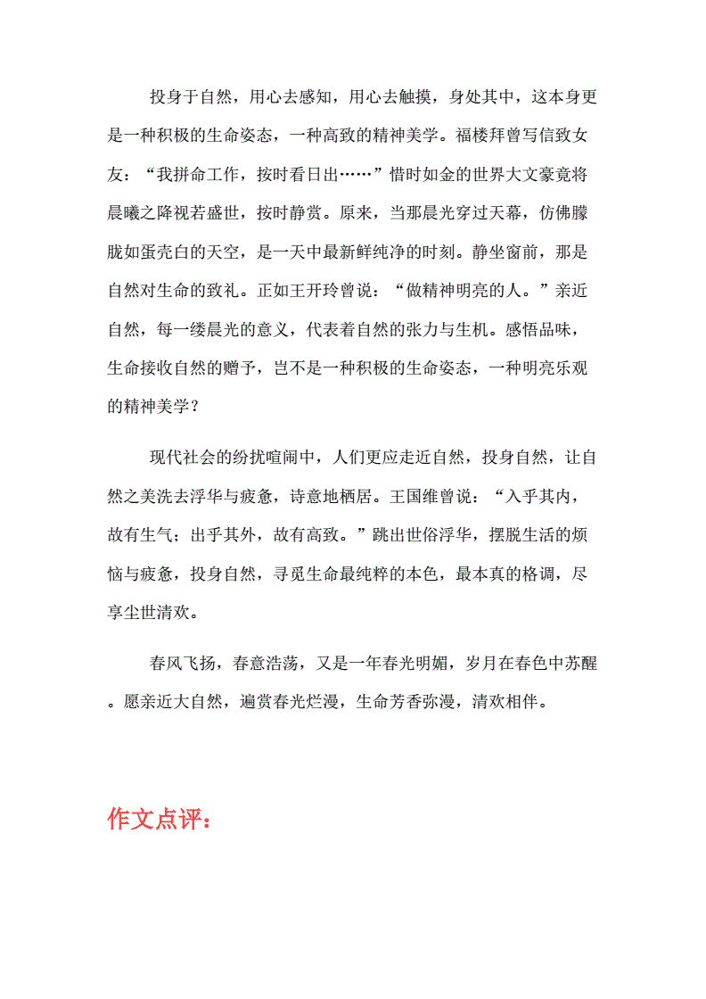 清欢一刻作文