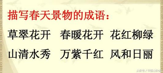 描写草的成语
