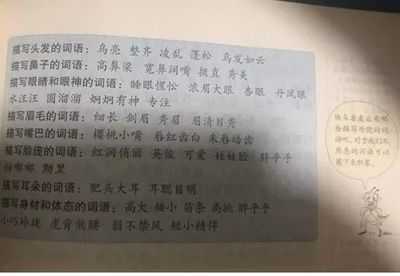 描写草的成语