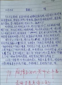 生活中的风景作文