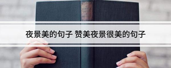 赞美灯光的句子