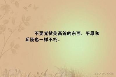 赞美灯光的句子