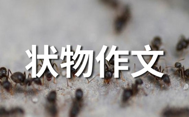 济南千佛山作文