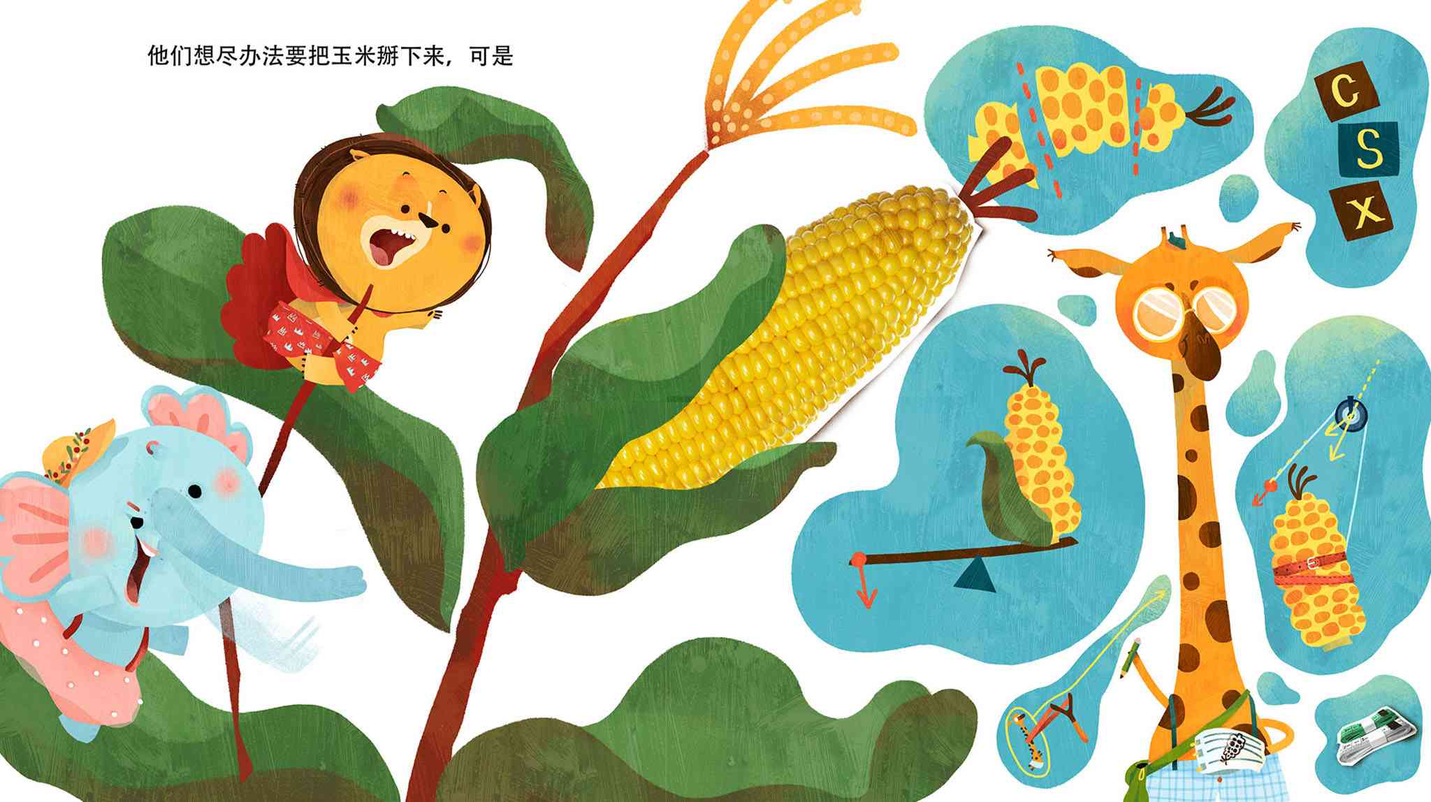 玉米的故事