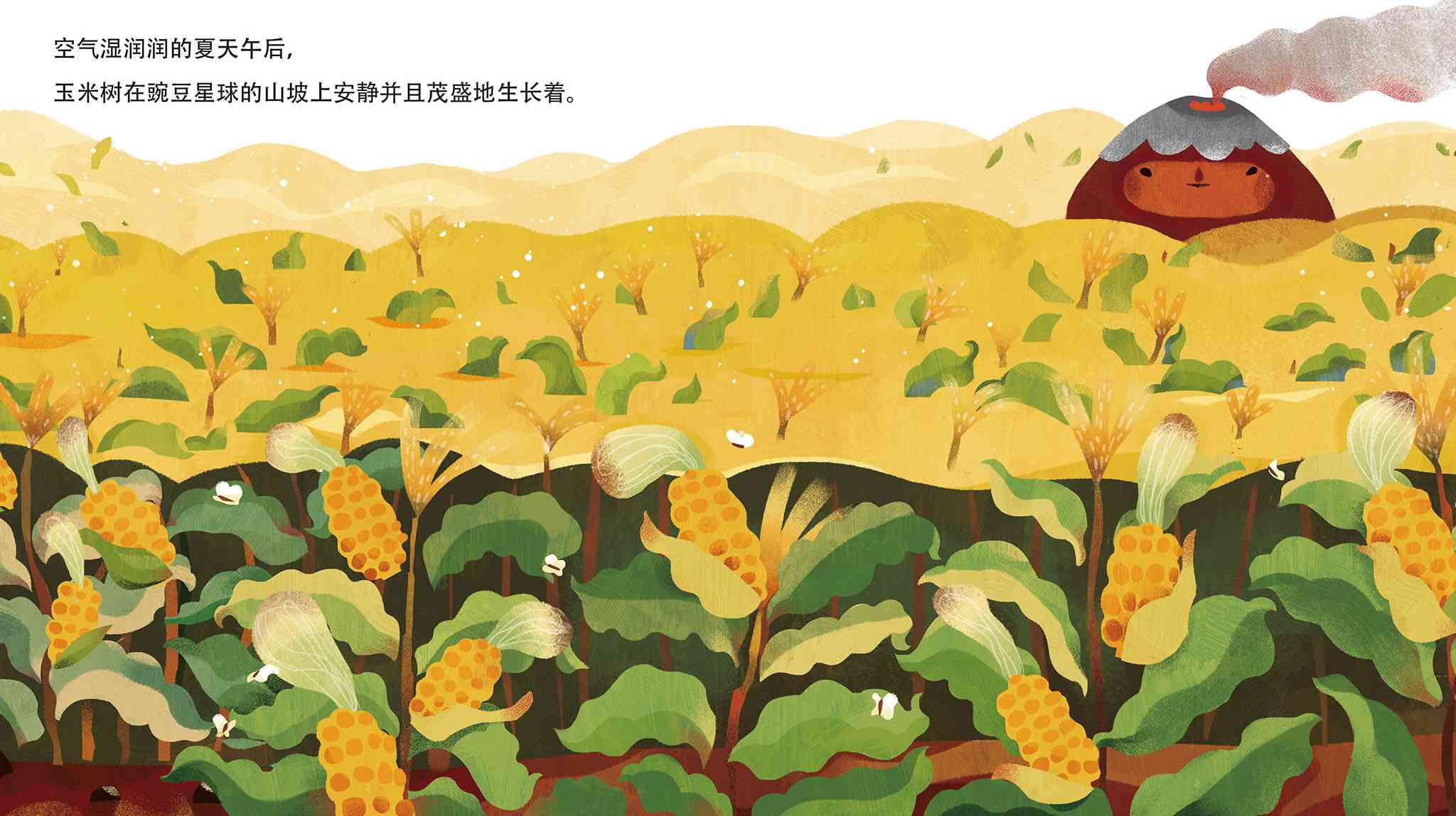玉米的故事