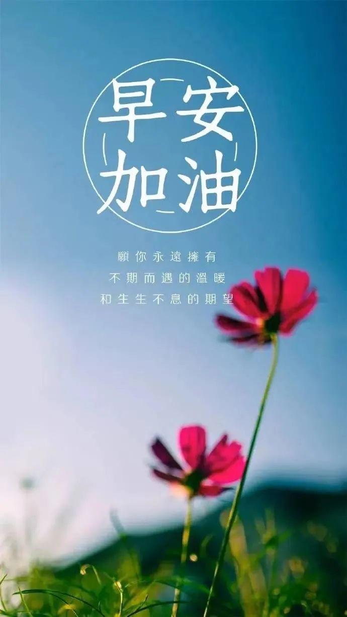 不要迷茫的句子