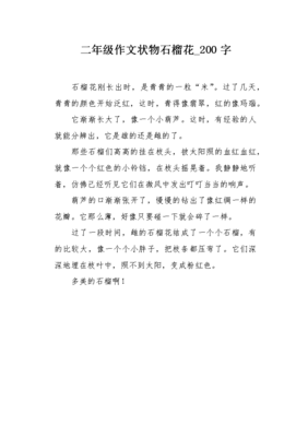 石榴花的作文