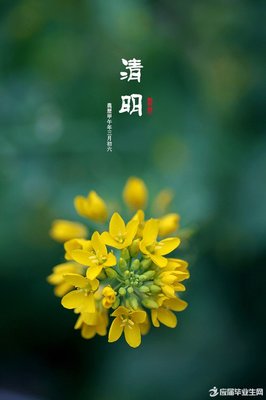孩子让母亲伤心的句子