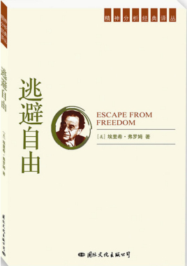 逃避自由读后感