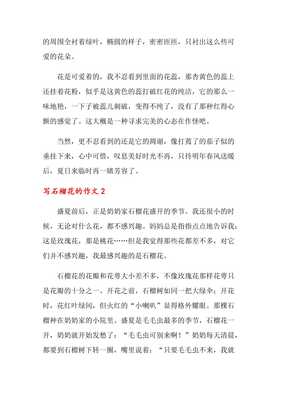 石榴花的作文