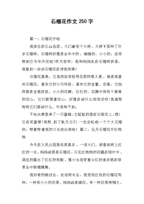 石榴花的作文
