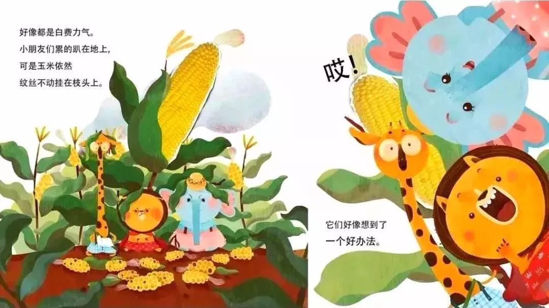 玉米的故事