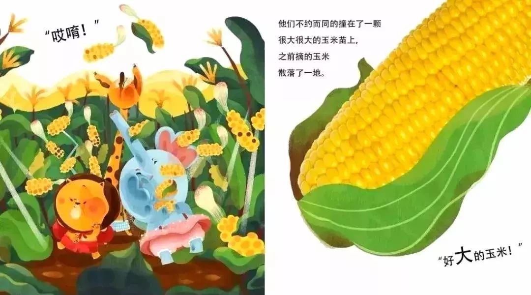 玉米的故事