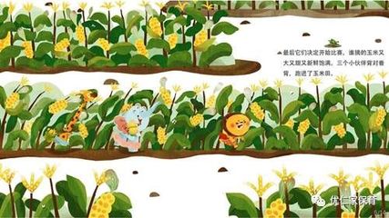 玉米的故事