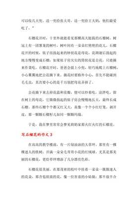 石榴花的作文