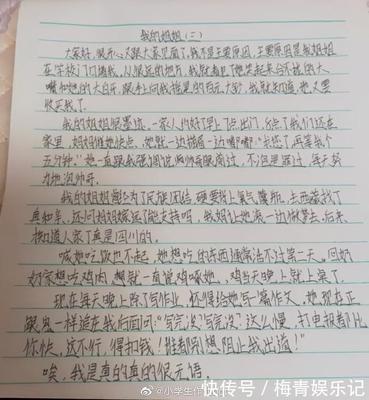 描写姐姐的作文