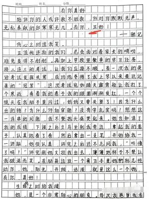 描写姐姐的作文