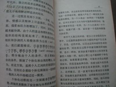 逃避自由读后感