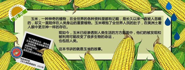 玉米的故事
