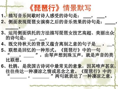 描写琵琶的优美句子