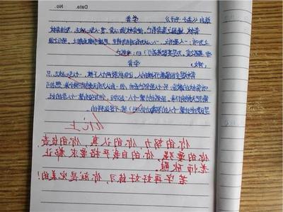 安全小作文