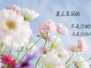 描写景色的句子短一点
