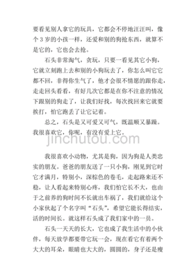 三年级作文我家的小狗
