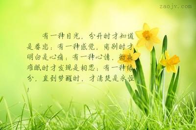描写小雨点的句子