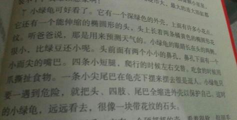 描写小雨点的句子
