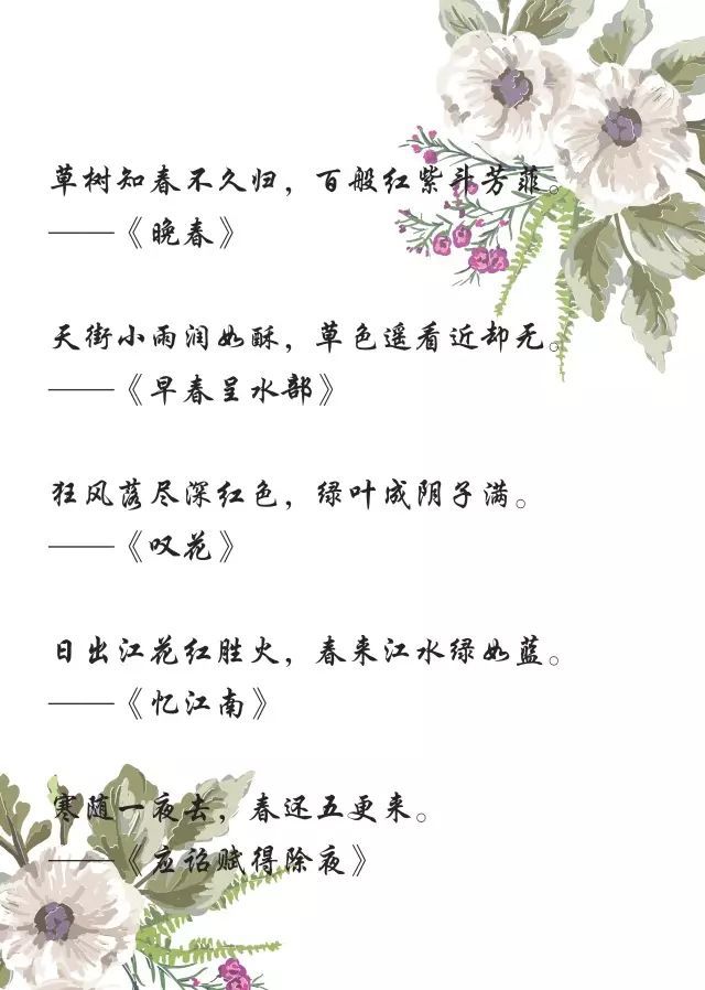 描写小雨点的句子
