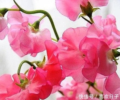志向远大霸气的句子