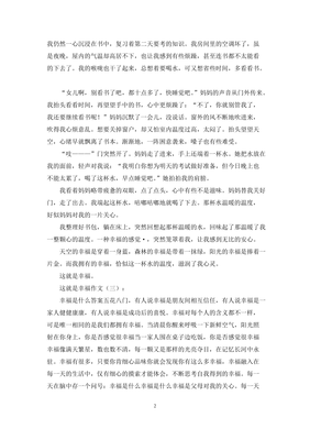 这就是幸福的作文