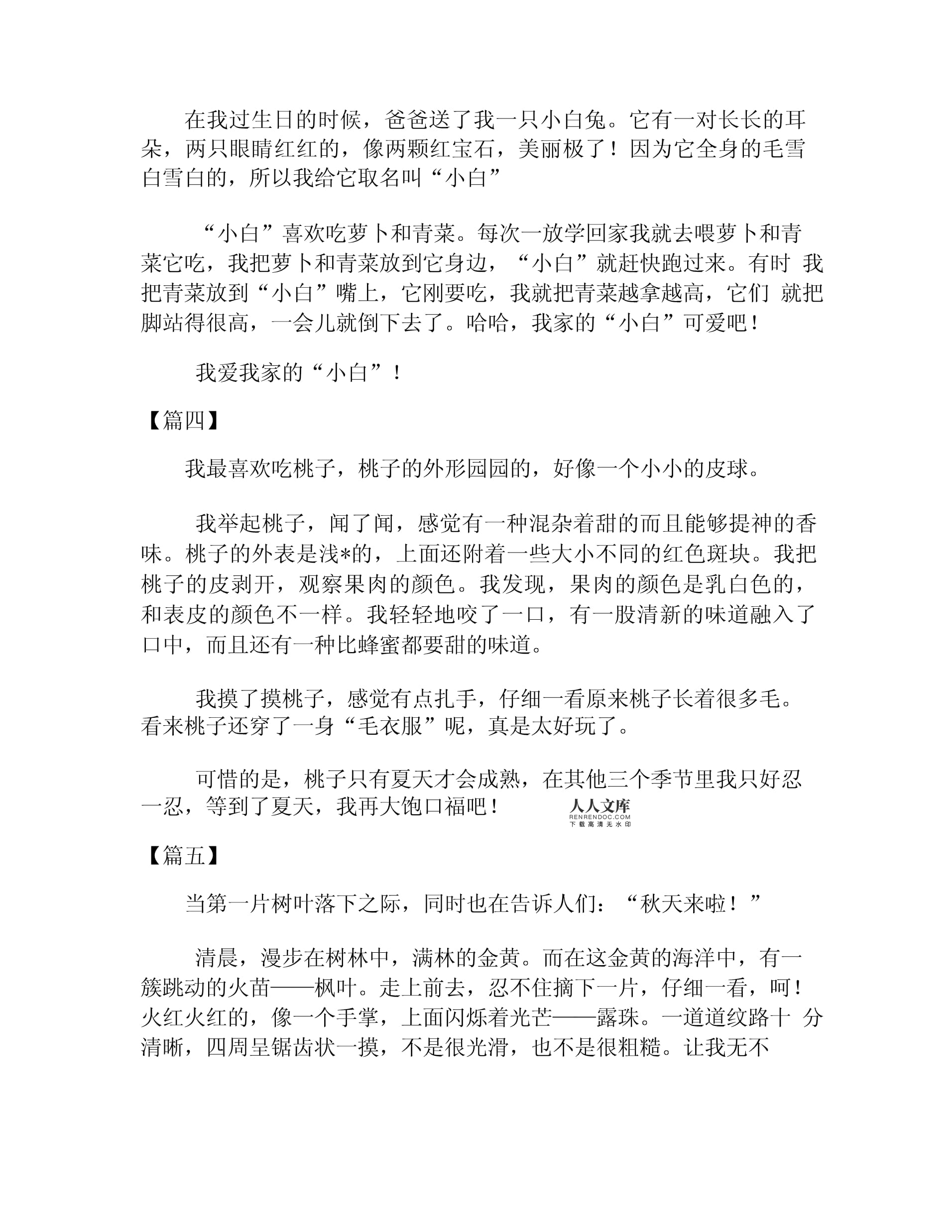 过生日的作文200字
