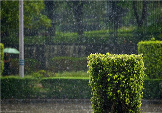 描写小雨点的句子