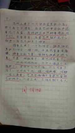 写火烧云的作文