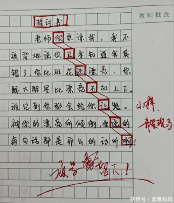 认错的作文