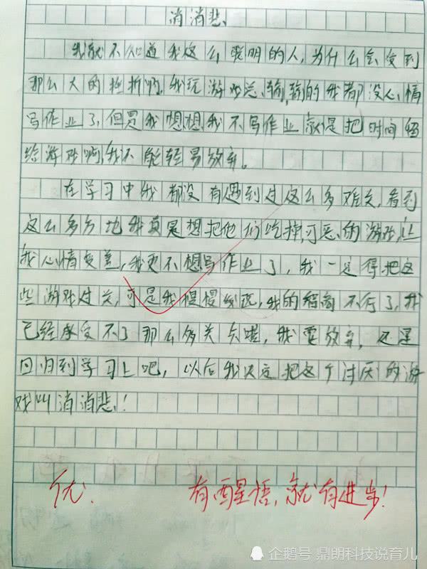 认错的作文