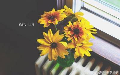 送给没口德的人的句子